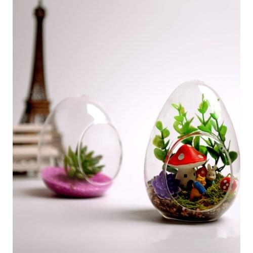 Free Shipping Small Packing Different Size Egg Shaped Glass Terrarium Vase Microscape Hydroponic Plants Wedding Decoration