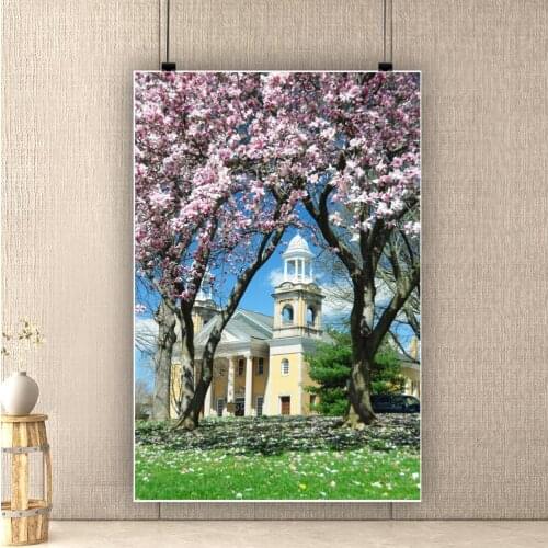 European Rural Town House Background Photography Room Decor Peach Blossom Natural Scenic Backdrops For Wedding Photo Studio