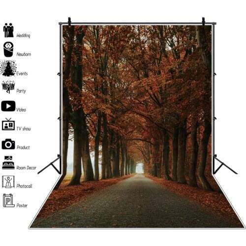 Autumn Countryside Forests Maple Trees Leaves Road Room Decro Portrait Customized Photo Backgrounds Photo Backdrops Photocall