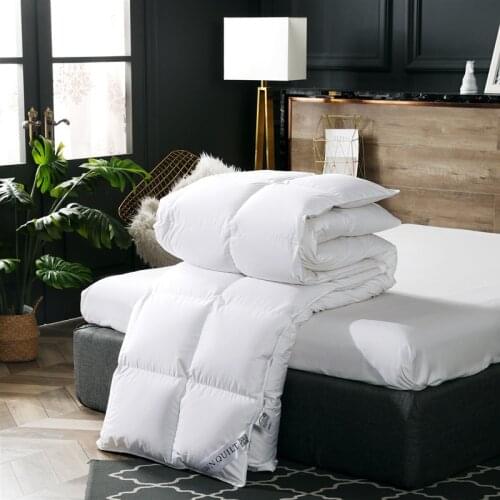 Soft Silent Thickened Single And Double Warm 80 Cotton Rousaisi Duvet Winter Quilt Gift Blanket On The Bed Goose Down Comforter