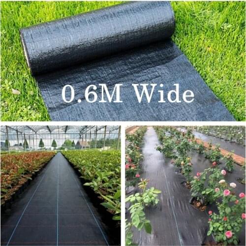0.6M Wide 5m Length Weeding Cloth Fruit and Orchard Mulch Film High Quality Black Plastic Lawn Cloth Customize Size