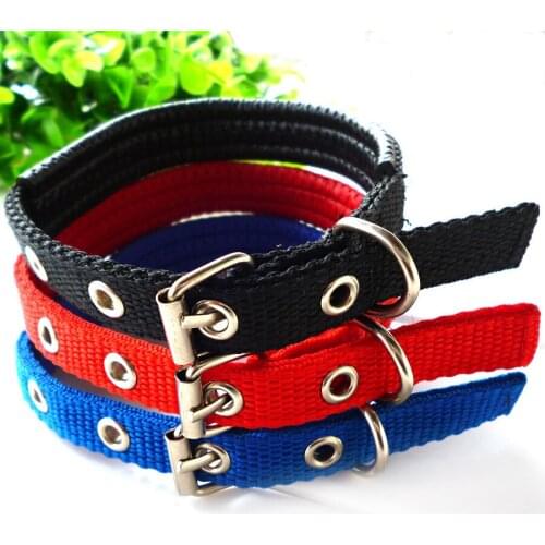 Free Shipping 4 color New Fashion Nylon Dog Pet Collar Size 2.5 * 55 cm