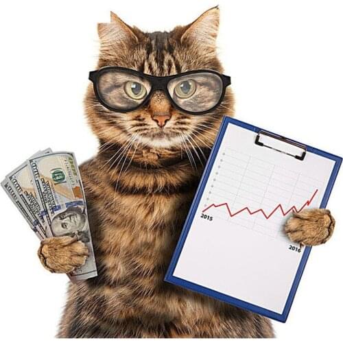 Diy Diamond Mosaic Money With Cat Dollar Embroidery 5D Painting Cross Stitch Rhinestone Full Round Square Drill Home Decoration