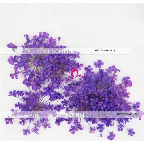 Free Shipping 300 Packs Mix Styles Real Flower Dried Flower Natural Nail Art Dry Flower for Nail Art Decoration