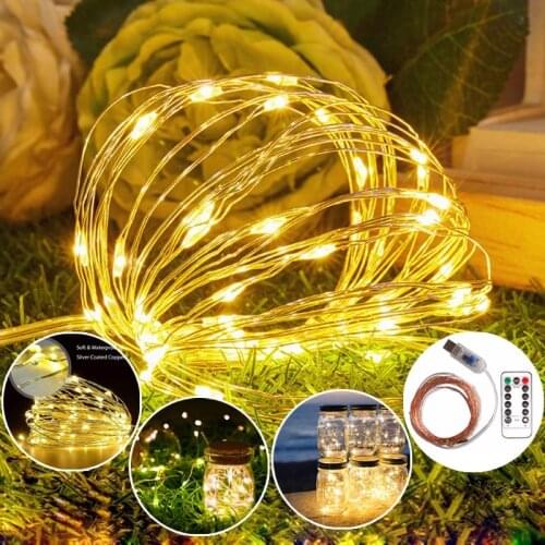 LDSS LED String Lights With Transparent Wire