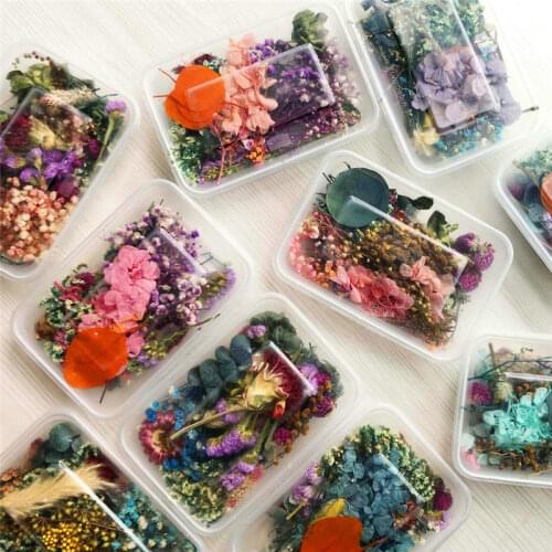 1 Box Natural Dried Flower Dry Plants for DIY Epoxy Resin Charm Pendant Aromatherapy Candle Jewelry Making Craft Accessories