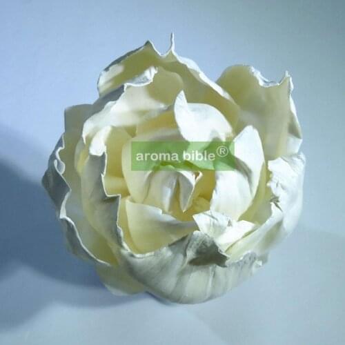 1000 pcs /lot Handmade sola wood flowers for fragrance diffuser and home decor with 12cm Rope or rattan reed sticks Top quality