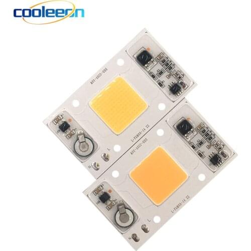 High Quality 220V COB LED Chip Floodlight CRI 95 RA Warm Cold White 3000K 6000K Driverless LED Full Spectrum Lamp for Plant Grow