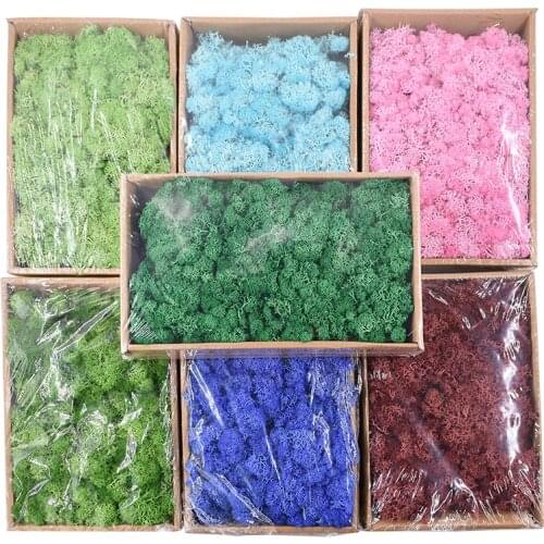 Green Artificial Moss Natural Moss Artificial PlantNatural Moss Artificial Plant Eternal Life Moss Micro Landscape Accessories