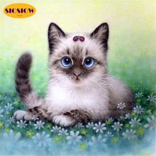 Full Square Drill 5d Diy Diamond Painting Flower Cat 3D Diamond Embroidery Mosaic Daimond Cross Stitch Home Decor Kids Room Gift