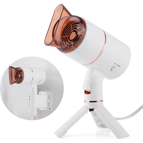 1000W Professional Powerful Hair Dryer 3 Speed Fast Heating Hot And Cold Adjustment Ionic Foldable Desktop Air Blow Dryer