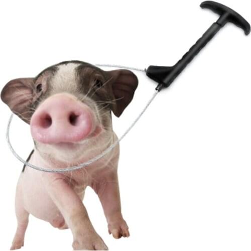 1 Pcs Stainless Steel Wire Catching Pig Lasso Baoding Pig Head Grab Pig Device Pig Equipment Convenient Safety Copper Handle