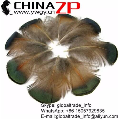 Exporting from Factory www.ywgy.cn Wholesale 100pcs/lot GREEN BRONZE Golden Pheasant Plumage Feathers