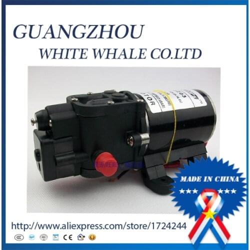 Modify 4.5a FL-3203 Diaphragm water pump for spraying fruit trees