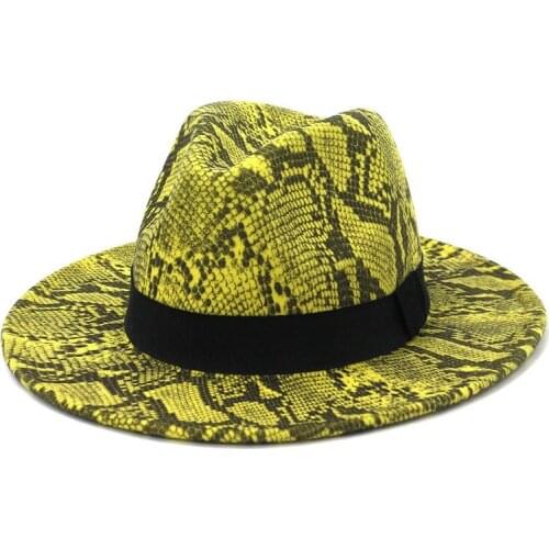 Winter Fedora Hats Men Ribbon Jazz Caps Snake Print Women Vintage Panama British Travel Cowboy Hat