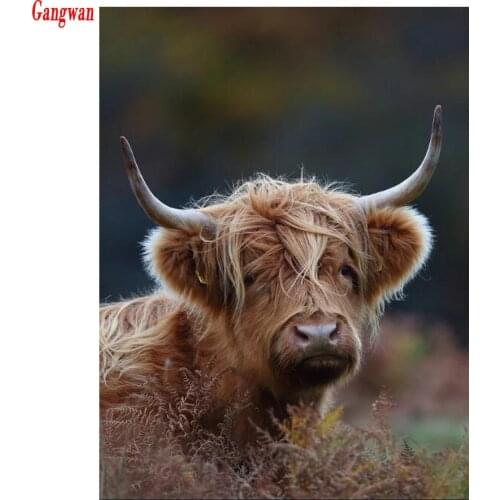 Full Square Round Drill 5D DIY Diamond Painting animal highland cow picture 3D Embroidery Cross Stitch 5D mosaic Home Decoration