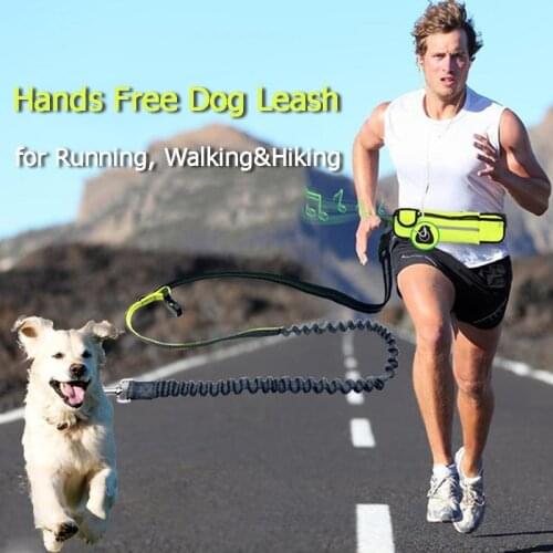 New Dog running waist pack traction rope Nylon running belt Reflective strip Hands free Leashes adjustable Elasticity girdle Hot