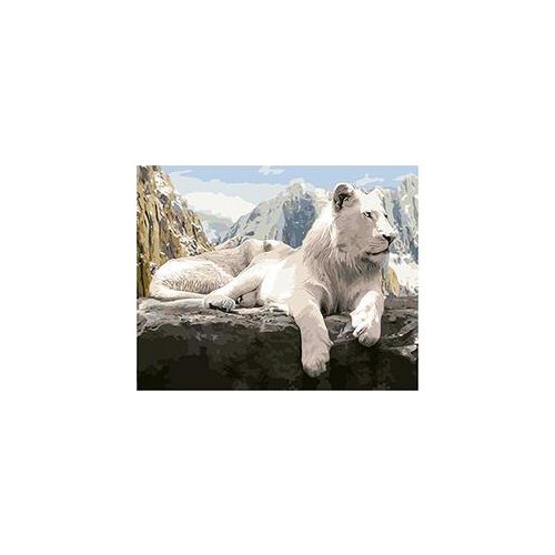 MaHuaf-W160 wolf on the rock picture painting by numbers canvas painting home decor paint by number