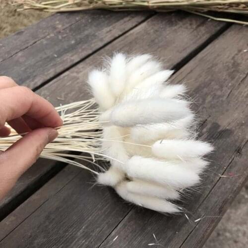 30-35CM/100PCS Dry Hares Tail grass Flower,Dried Natural Flowers Rabbittail Bouquet,DIY Craft for Home Decoration,Wedding