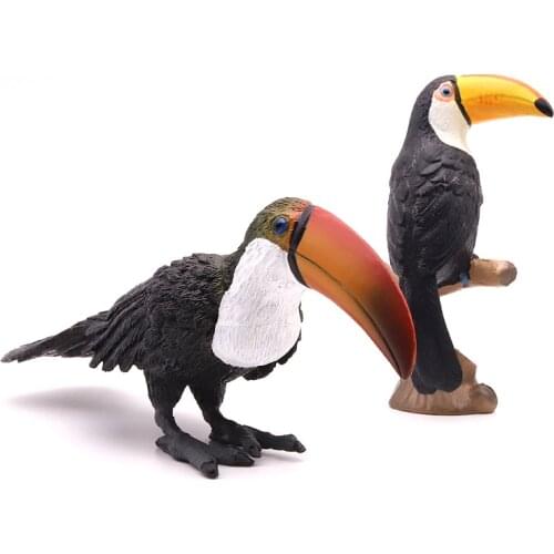 Solid simulation toucan model toucans hawk animal bird ornaments home decorations