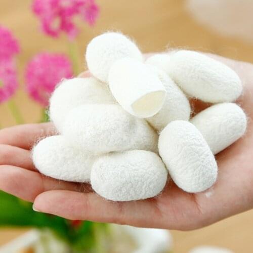 100 Pcs Silkworm Balls Purifying Whitening Exfoliating Scrub Blackhead Remover Natural Silk Cocoons Facial Skin Care