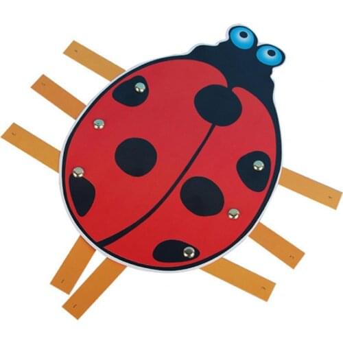 Kindergarten science experiment insect sports children steam science and education toys experiment equipment science and technol