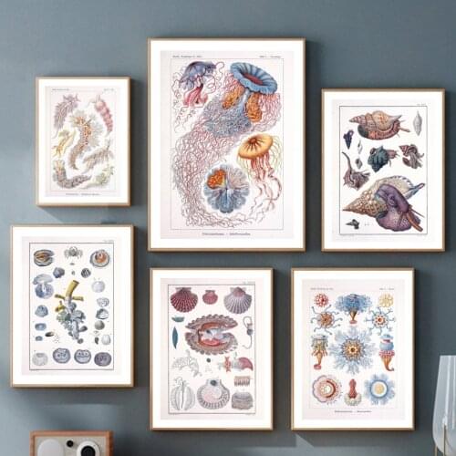 Marine Style Mollusc Blue Jellyfish Octopus Wall Art Canvas Painting Nordic Posters And Prints Wall Pictures Kids Room Decor