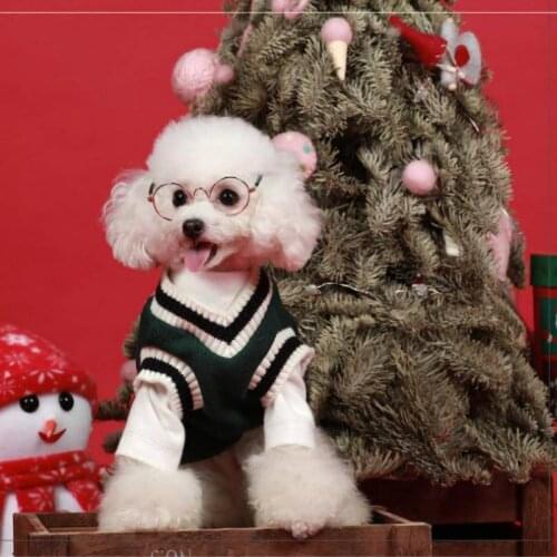 2020 New Pet Clothing Plush Autumn Winter Knitted Vest V-neck Vest Dog Halloween Costume Dog Winter Jacket Accessories