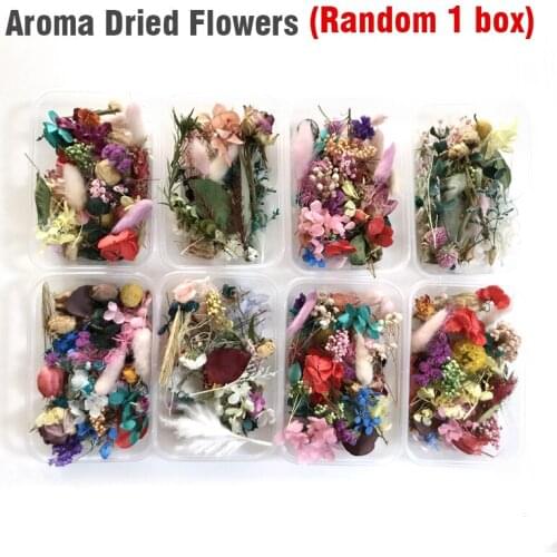 1 Box Colorful Real Dried Flower Plant For Aromatherapy Candle Epoxy Resin DIY Pendant Necklace Jewelry Making Crafts
