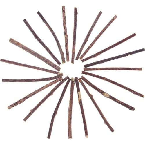 Natural Catnip Pet Cat Molar Toothpaste Stick Matatabi Actinidia Fruit Silvervine Traning Dogs Agility Toys Supplies