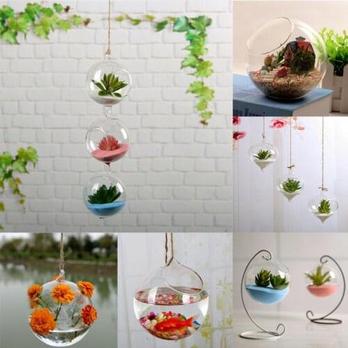 Home Garden Clear Glass Flowers Planter Vase Terrarium Container Ball Bulb Cylinder Shape Decors 1pc Not Include The Plant New