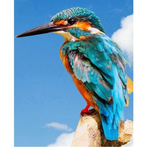 2020 Diy Diamond Painting kingfisher animal 5D Full Square Round Diamond Embroidery bird Mosaic Wedding Decoration