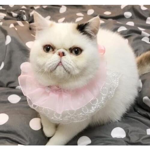 Cat Bow Ties Pet Jewelry Accessories Handmade Lace Dog Princess Teddy
