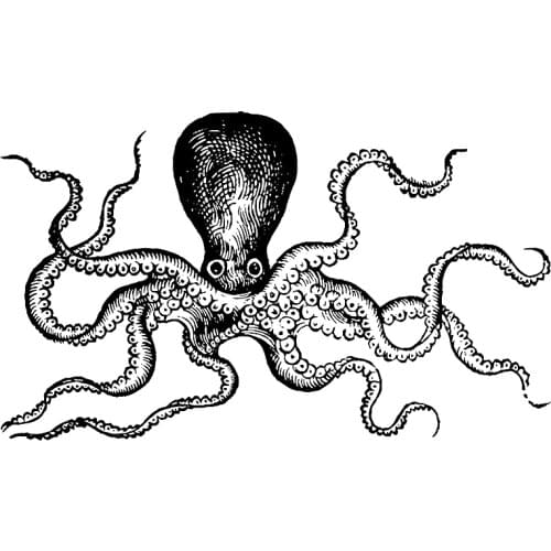 2021 New Retro Ocean Animal Octopus Pattern Clear Stamps For DIY Craft Making Greeting Card Scrapbooking No Metal Cutting Dies