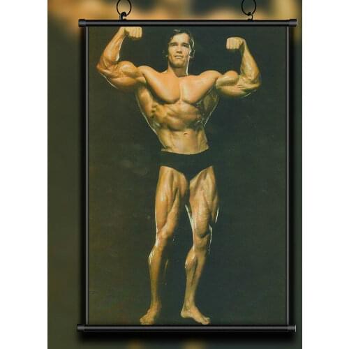 51 Custom Poster Silk Home Deco Arnold Schwarzenegger Bodybuilding Strong Muscle Wall Art Christmas Gift