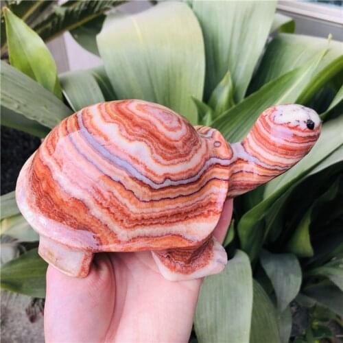 900-1000g Lovely red stone carving, hand-carved tortoise, crystal tortoise, fashion carving craft, animal portrait gift