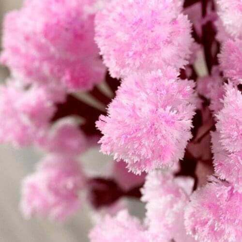 Magic Growing Tree Paper Sakura Crystal Trees Desktop Cherry Blossom Toys B99