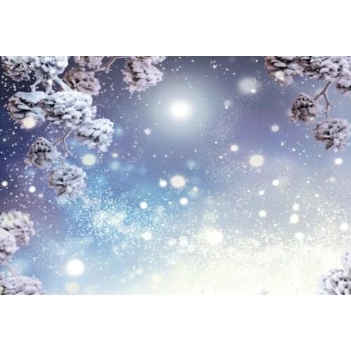 Winter Theme Decor Backdrop Snowflake Bokeh Background Newborns Photography Xmas Family Party Decoration Photo Booth Props