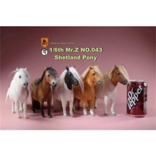 Mini Horses Animal Statue Figure Model Mr.Z MRZ043 1/6 UK Shetland Pony Horse