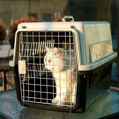 Pet Box Pet Out Air Box Car Dog Cage Universal Cat Cage Portable Large Space Removable Dog Stuff