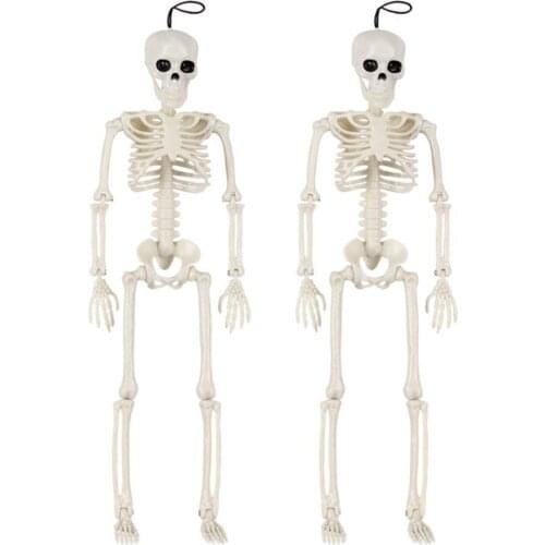 New Model Skeleto Anatomy Skeleton Skeleton Model Medical Learning Halloween Party Decoration Skeleton Art Sketch