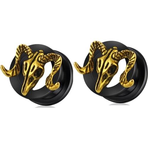 TIANCIFBYJS Stainless Steel Ear Stretcher Plug Earring Lobe Expander Screw Earring Flesh Tunnel Body Piercing Jewelry Mix 6-16mm