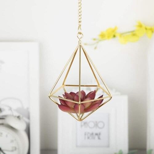 6 Pcs Nordic Style Hanging Tillandsia Air Plant Rack Wall Hanging Geometric Metal Tillandsia Air Plants Rack Holder
