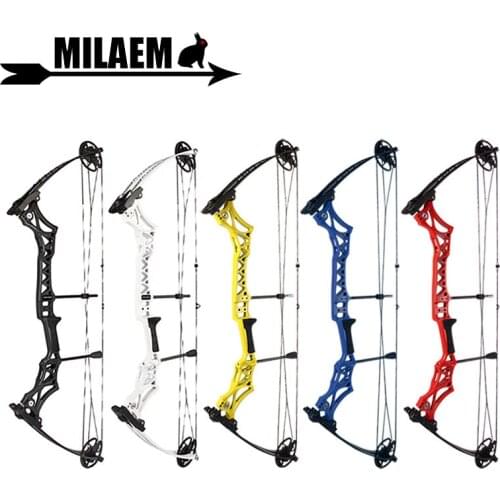 Archery M108 Compound Bow With Bow limbs Stabilizer 30-55lbs Adjustable IBO 300FPS Let off 80% Hunting Shooting Accessories