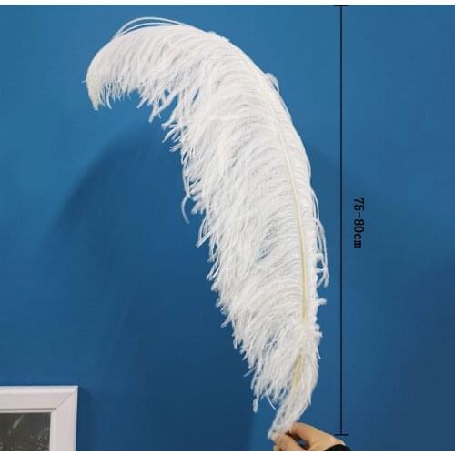 Promotion 50pcs/lot High Quality Ostrich Feather 75-80cmCM 30-32Inch Celebration Christmas Dancers Home Diy Plumas Plumes