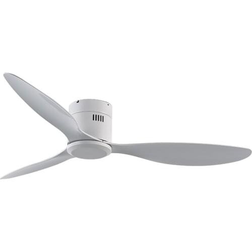 Modern Ceiling Fans Without Light DC 30W Ceiling Fan Low Floor With Remote Control Home Simple Ceiling Fan No Lights 220V