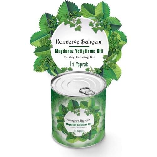 Canned Large Leaf Parsley Growing Kit Aparatus At Home Grow Strawberry Garden, Balcony, Windowi Indoor Kit, Simple Home Grow