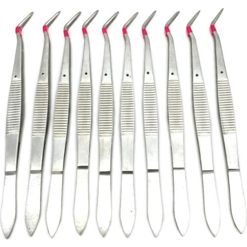 10 PCS New Medical Forceps Tweezers Dental Instruments