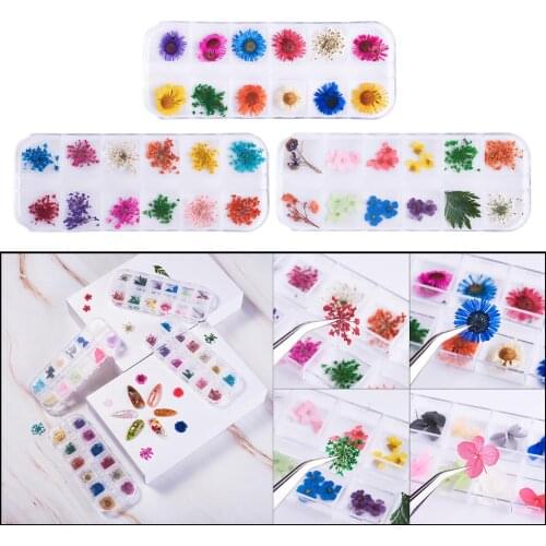12 Color Real Dried Flowers 3D Nail Art Decor Design Manicure Accessories
