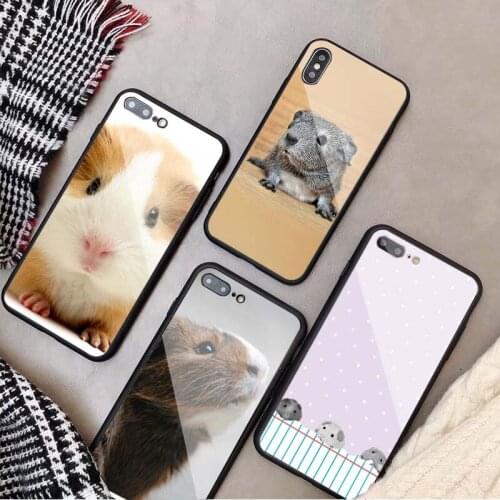 Guinea Pigs Tempered Glass Phone Case For iphone 12 11 Pro Max 5 6 7 8 X XS XR XSMax Shell 12Pro Max Cover Shell